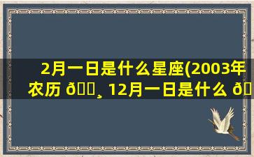 2月一日是什么星座(2003年农历 🕸 12月一日是什么 🌳 星座)